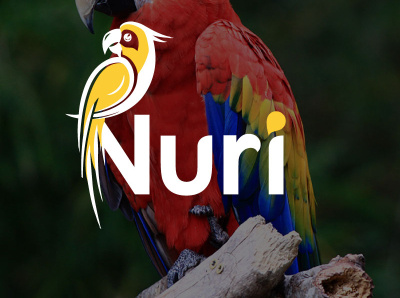 Nuri 3d animation bird branding design graphic design illustration illustrator logo minimal motion graphics typography ui ux vector