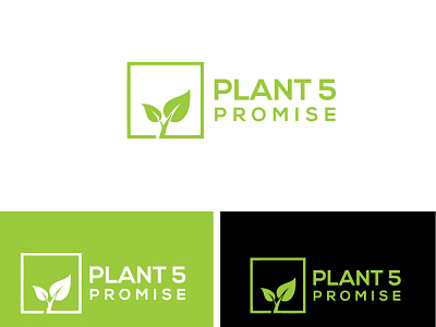 Plant 5 Promise animation branding design icon illustration illustrator logo minimal typography web