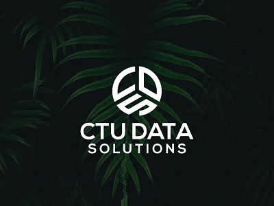 CTU data solutions animation branding icon illustration illustrator lettering logo minimal typography vector