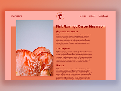 Mushroom Info Page design figma mushroom orange pink product design ui uiux ux webdesign website