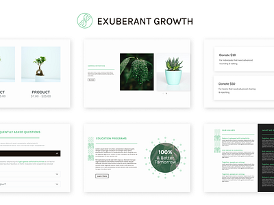 Exuberant Growth - Modular and simple theme design donate faq featured figma friendly gallery heading hero illustration image minimal nature pricing shop ui ux vector web