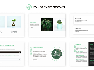 Exuberant Growth - Modular and simple theme