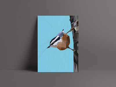 Nuthatch Print art bird brand design graphic illustration print