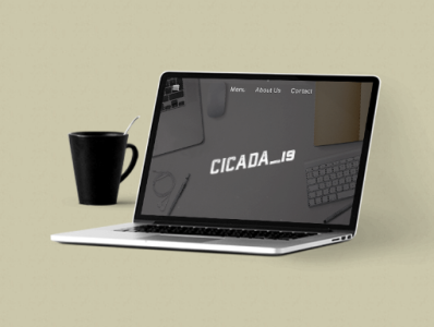 cicada_19 branding 1 branding design logo vector