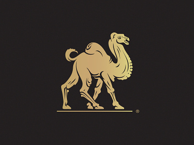 Camel animal antique best brand branding camel chameau classic dromadaire eddarqaoui elegant forsale heraldry illustration logo