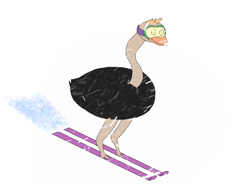 Ostrich Skiing after effects animals animated gif animation 2d bird characterdesign goggles hairstyle ostrish ski skiing