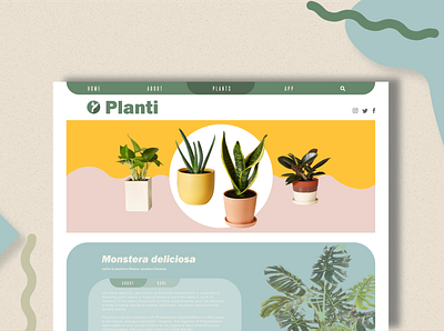 Planti webpage app design homepage design logo plants web design website website concept website design