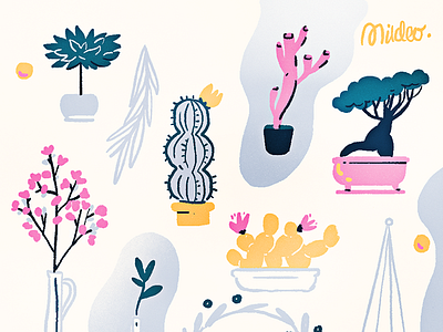 House plants cactus drawing houseplants illustration plants sakura