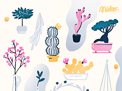 House plants