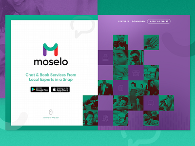 Moselo Homepage experts homepage service website