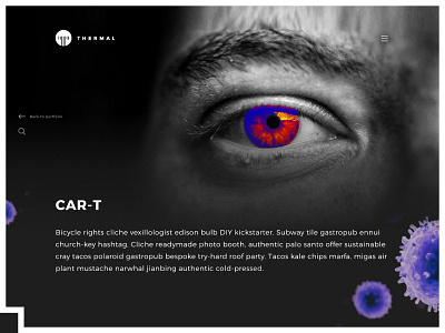 UX/UI: Thermal design ui ux web website