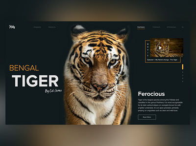 Wild Animals UI Design #01 design ui ux web website design