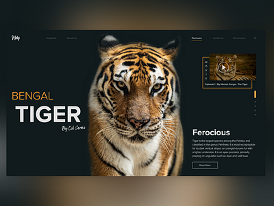 Wild Animals UI Design #01