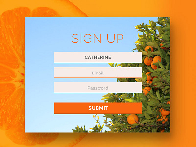 UI #001 daily design form in register sign signup ui up web website