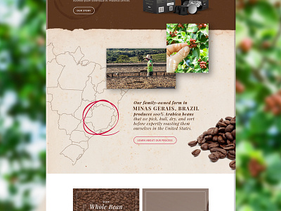 Coffee Website artisan classic coffee eco espresso gourmet material ui web website