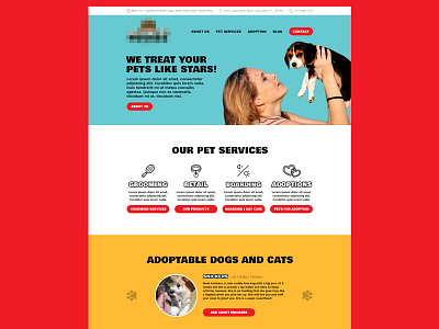Pet Store Website Concept adopt animal cat colorful cute dog pet shelter shop web website