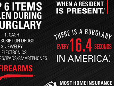 Gun Concealment Infographics Component