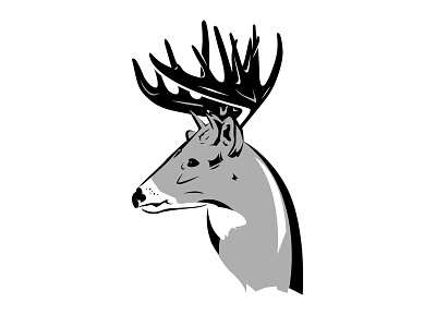 Looking for this guy buck illustration deer illustration hunting illustration jordan fretz design vector deer illustration whitetail illustration