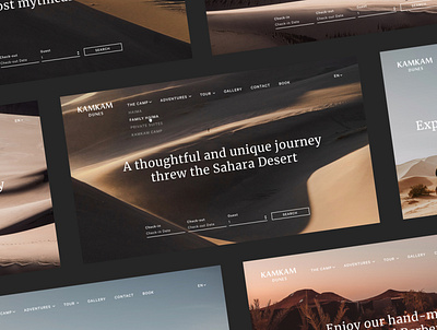 Kamkam Dunes Travel Website ui ux uxdesign web web design webdesign website design wireframe