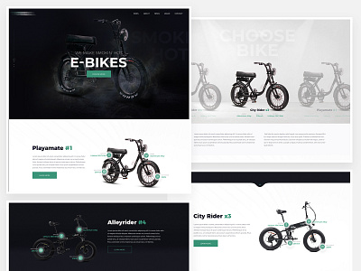 eBike website