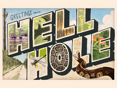 Greetings from Hell Hole forest nature postcard snake swamp turtle wildlife