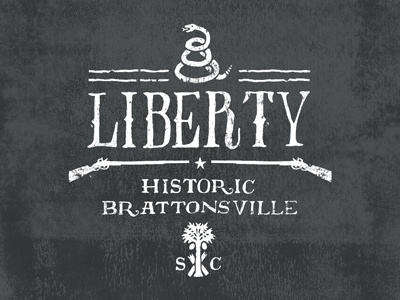 Liberty illustration musket revolutionary war snake south carolina t shirt vintage