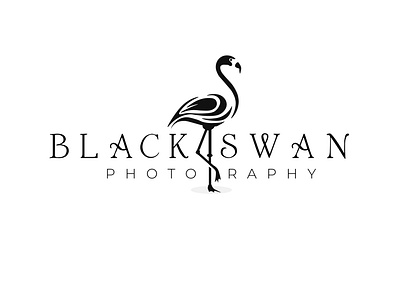 BlackSwan Logo Design