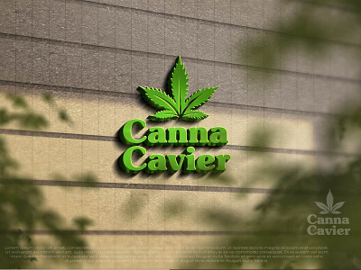 Canna Cavier branding design graphic design illustration logo motion graphics vector