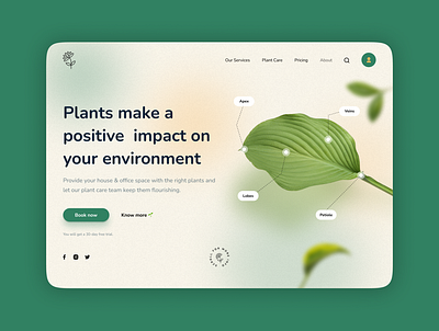 UI design for plant care service design figma ui