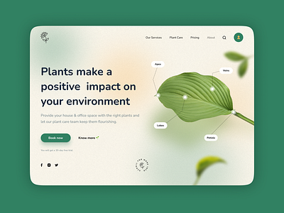 UI design for plant care service