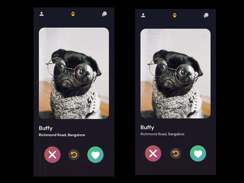 Tinder for Pets Micro Interactions