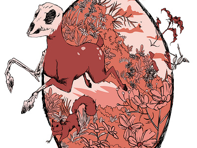 Rose colored glasses - Flora and Fauna