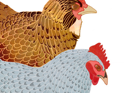Flock chickens hens watercolor