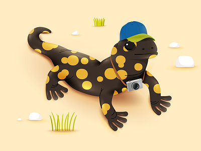 Salamandra animal camera cap hat illustration lizard reptile tourist