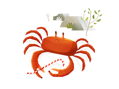 Crab affinity affinitydesigner character character design children crab illustration kid plastic sad