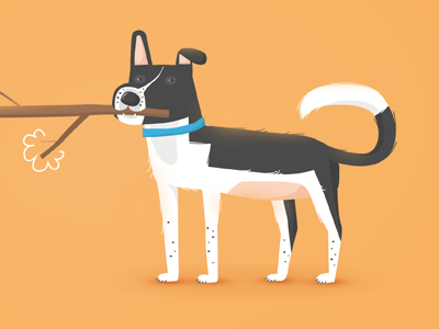 Burek dog illustration
