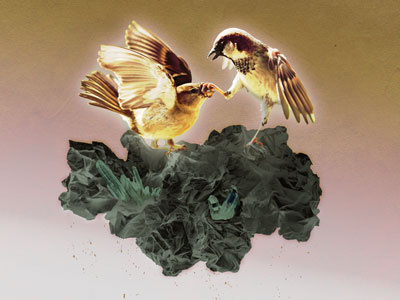 Brutal Birds animal birds fantasy fighting gemstone gold nature photoshop rock