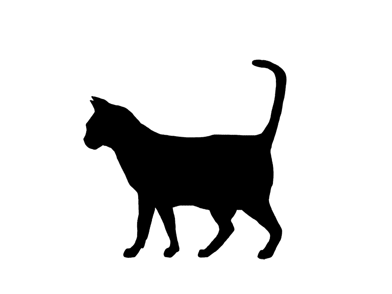 Don't Get Murdered advice animal blackcat cat cat illustration design gif gif animation halloween mixed media murder
