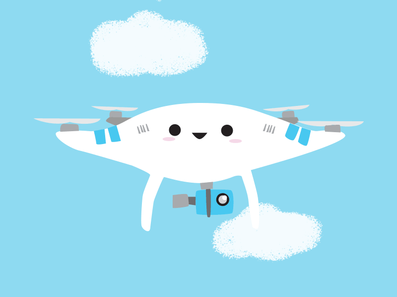 Dronie Takes Flight