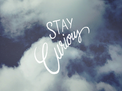 Stay Curious curious handwriting lettering pencil photography stay