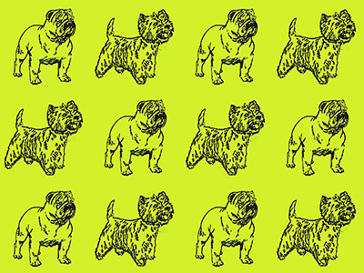 RUFF RIDERS losangeles design creative fun pets dogs pattern