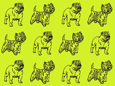 RUFF RIDERS creative design dogs fun losangeles pattern pets