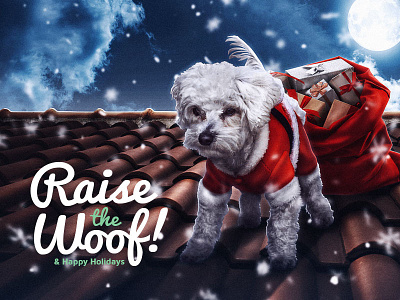 Holiday Card - Personal creative design dog keyart pets photoshop