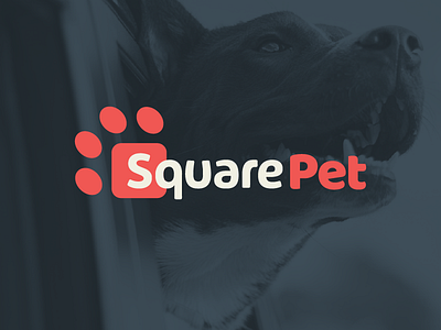 SquarePet branding design freelance identity logo packaging pet