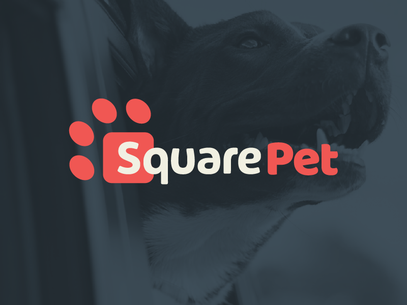 SquarePet freelance design packaging pet logo identity branding