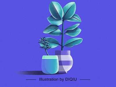 Plant illustration illustration