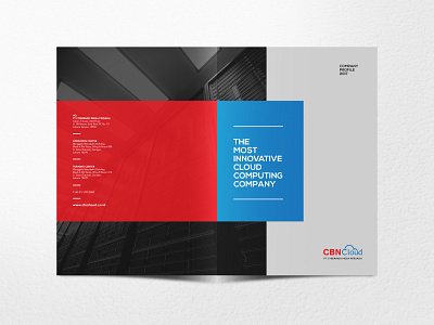 CBN Insta alt3 2 annual report book book cover branding catalogue company company profile design flat illustration redesign typography