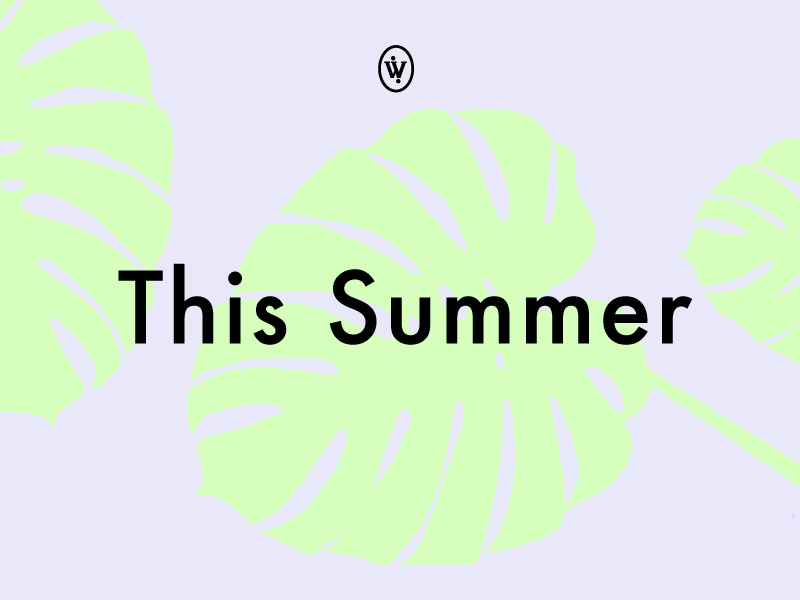 Summer by Nessen.Co / New Brand Methods™ on Dribbble