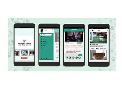 Instagram for pets adopt baddryad cats design dogs socialmedia ui ux visual design