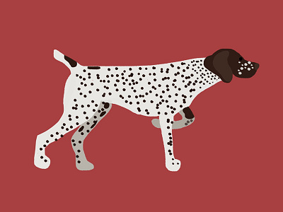 Pointer dog dogs flat illustration pointer simple